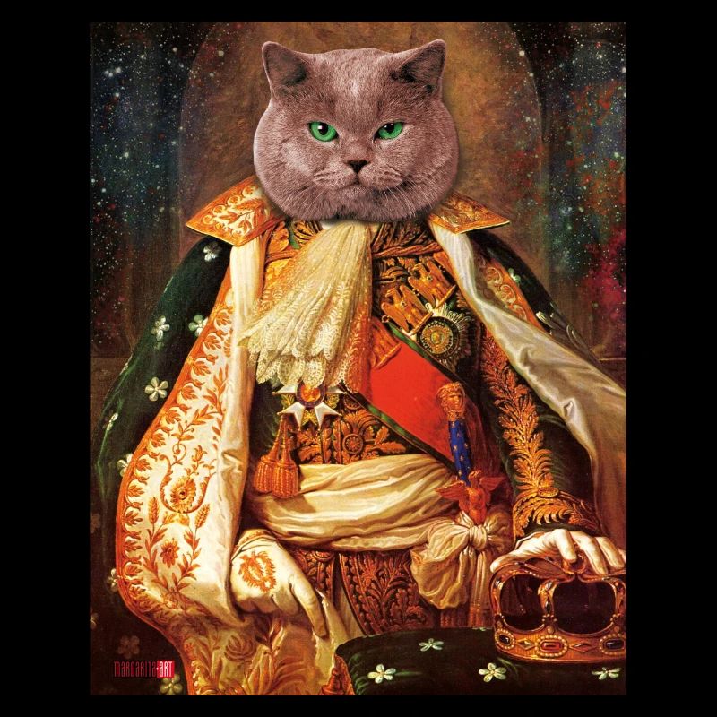 The cat is the King