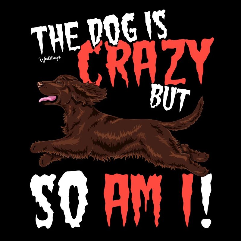 cockercrazy2