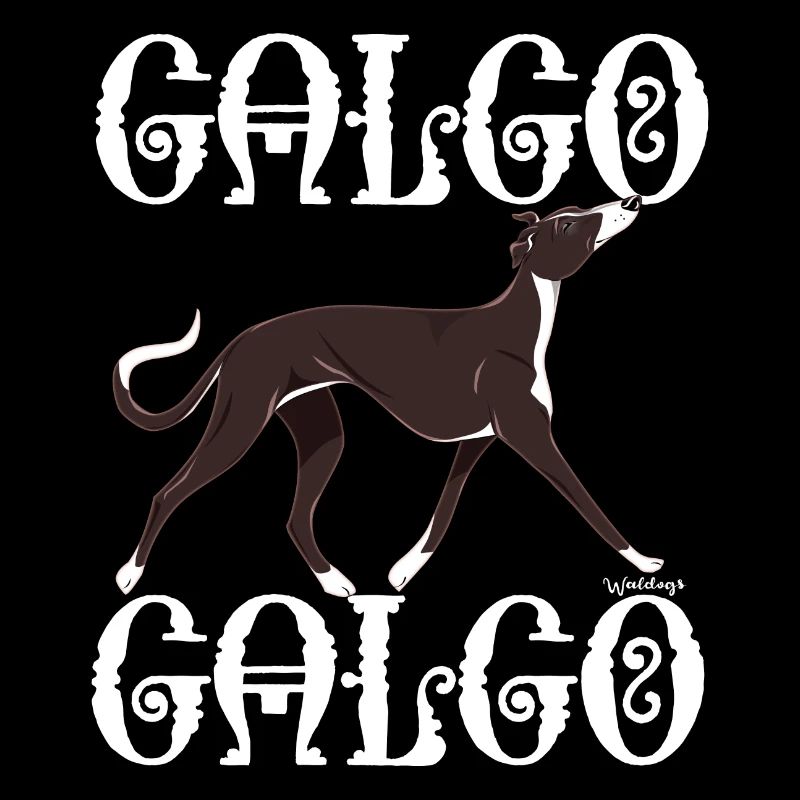 Galgo Galgo 4