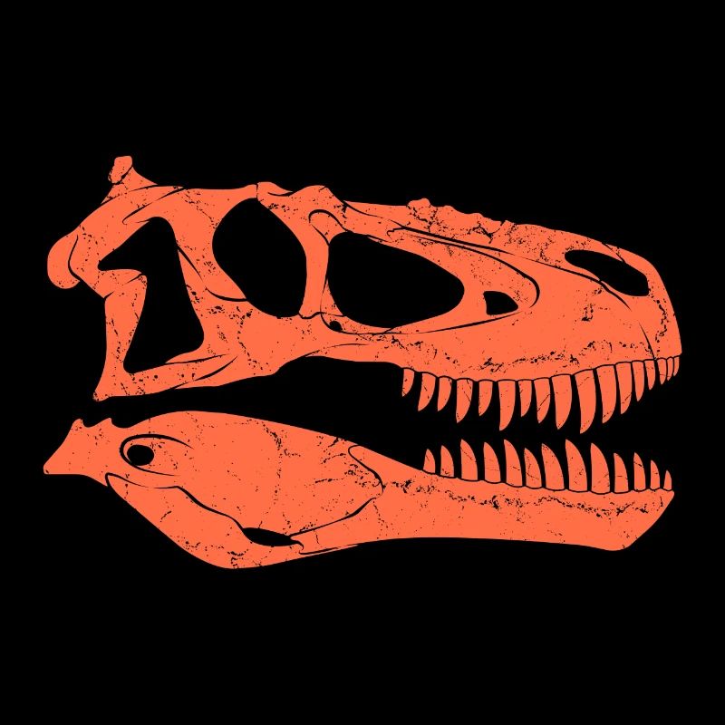 Daspletosaurus fossil skull