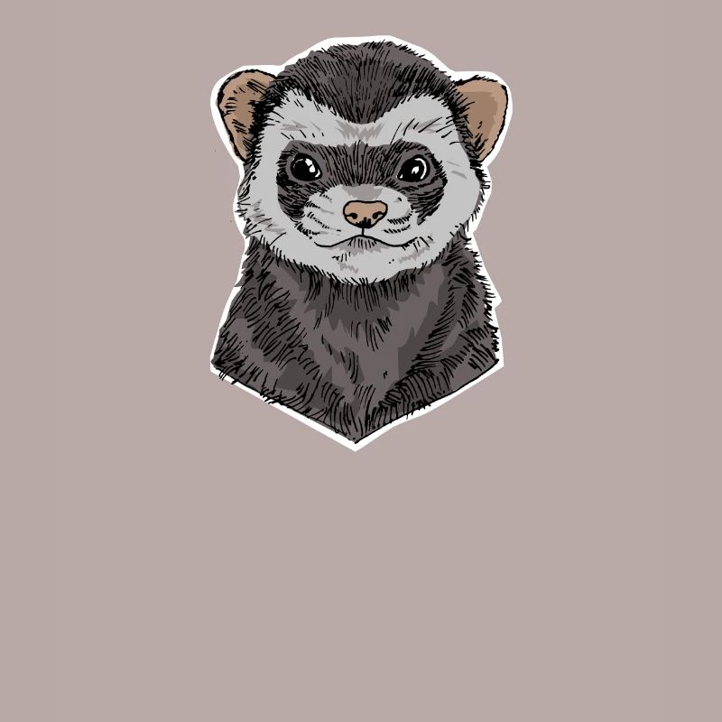 ferrets