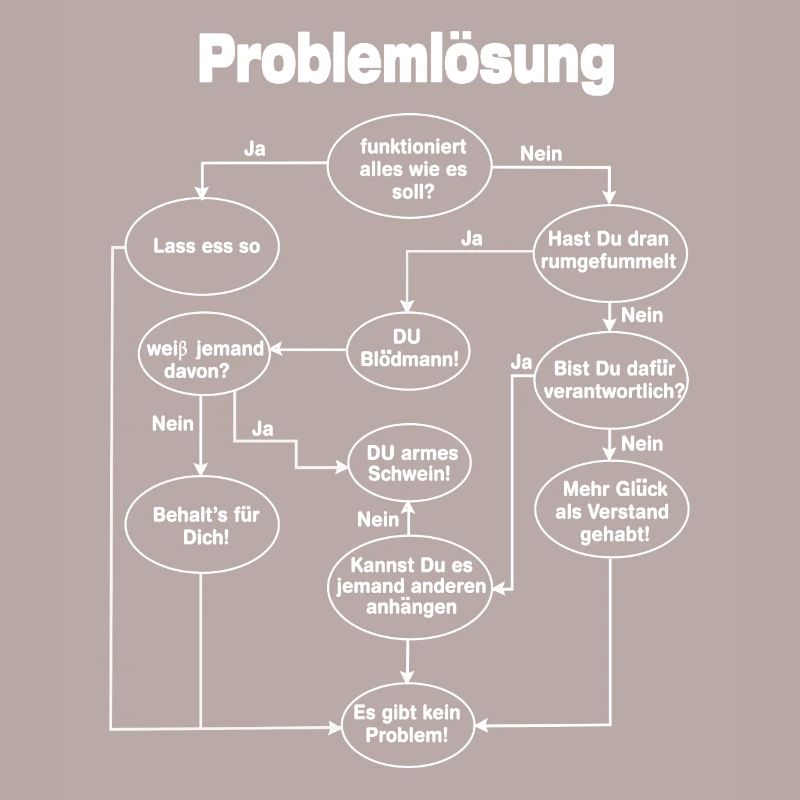 Programmierer Problemlösung