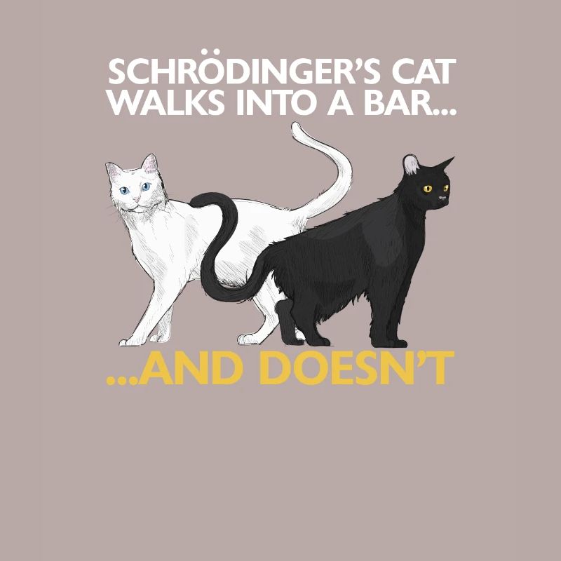 Funny physics science Schrödinger's cat