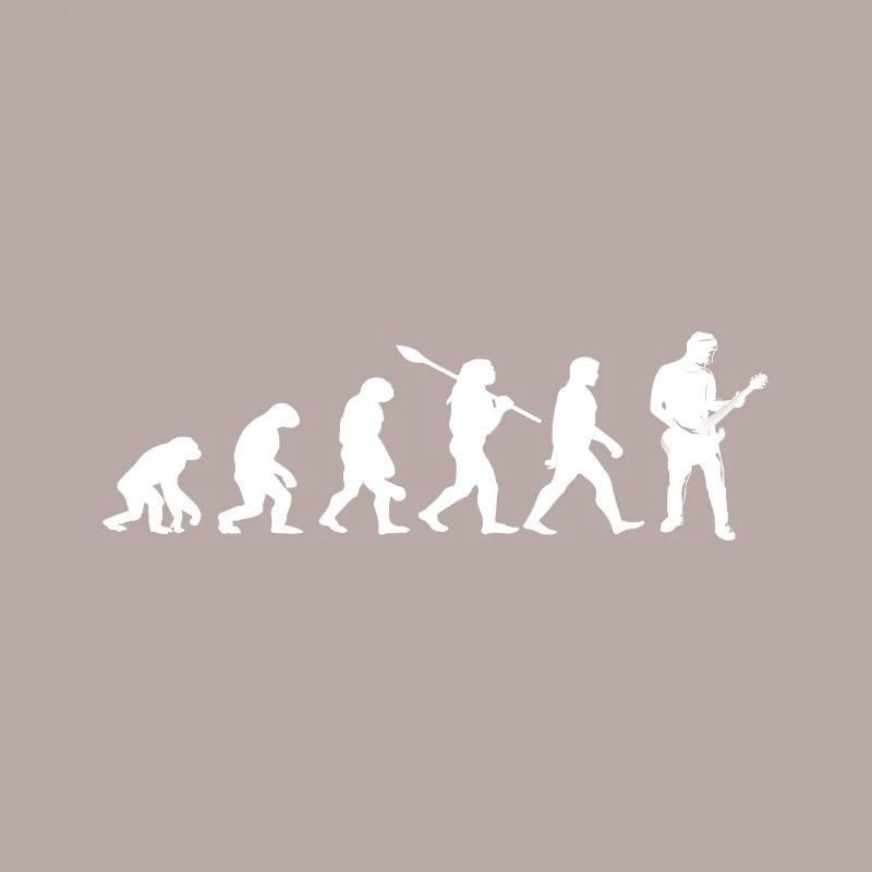 evolution guitariste