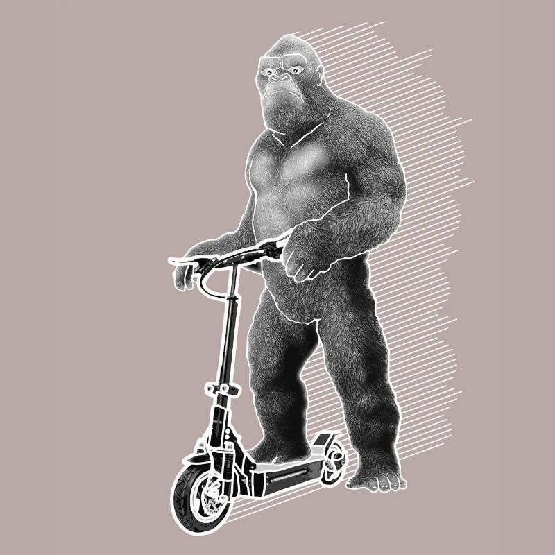 Elektroroller E-Roller King Kong Geschenkidee