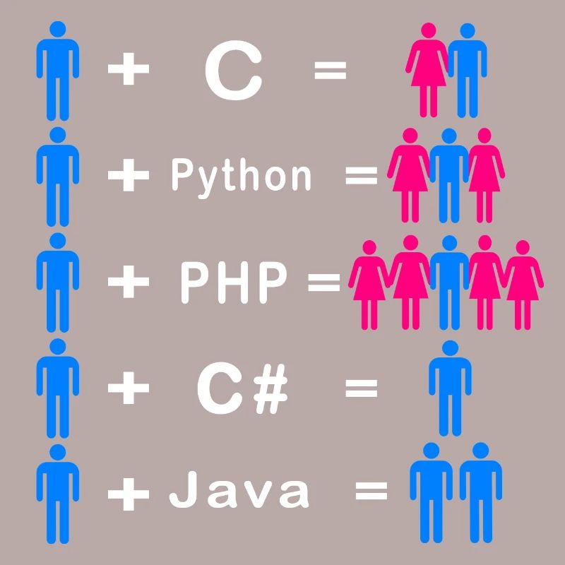 Programmeur