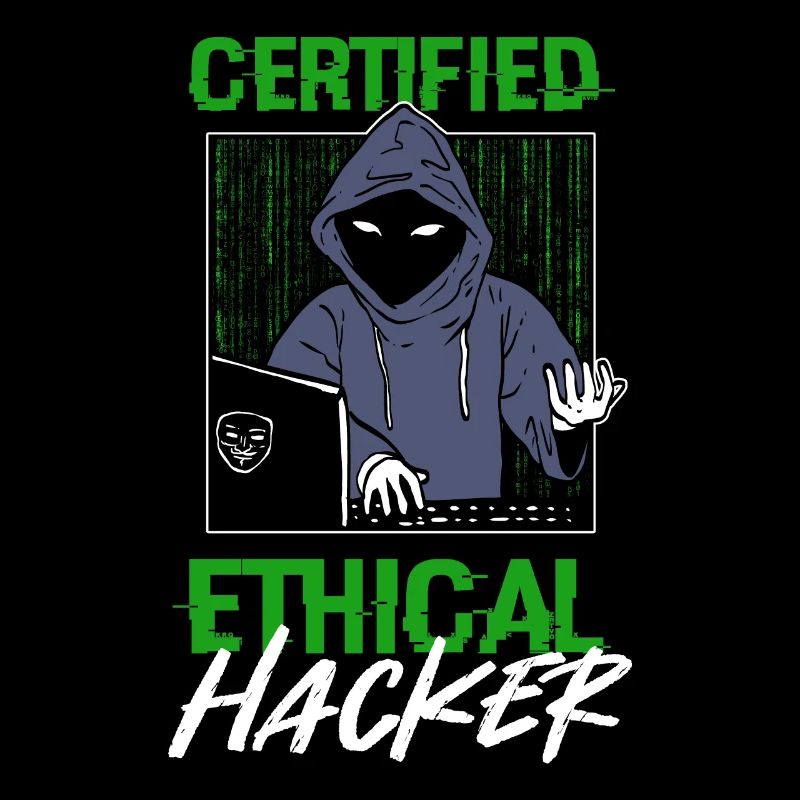 Certified Ethical Hacker Hacking Network Developer