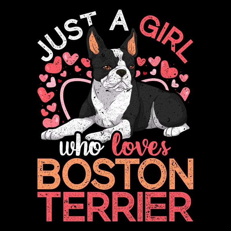 Nur ein Mädchen das Boston Terrier liebt Bostie