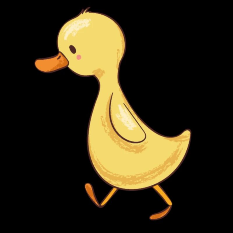 Canard
