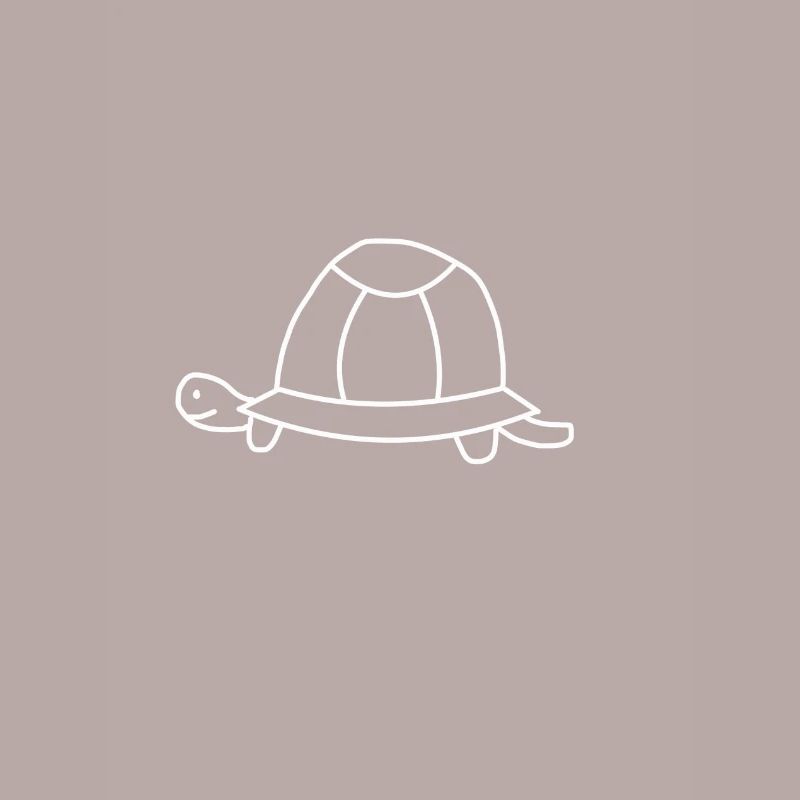 Turtle toad