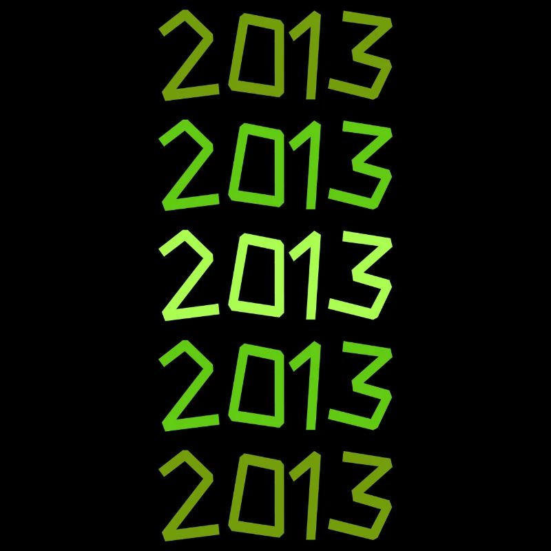 2013 2013