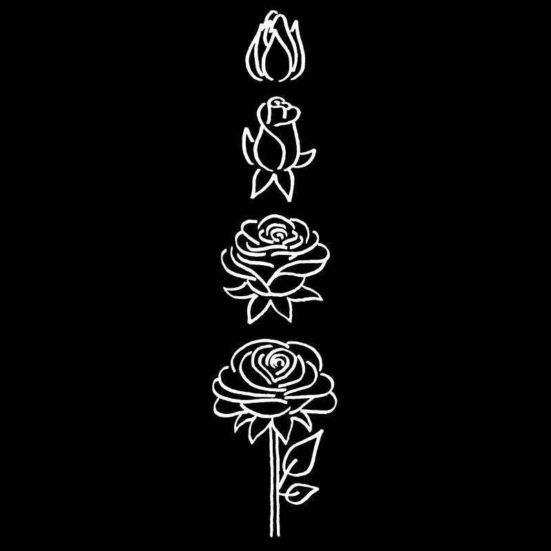 éclosion d'une fleur blanche