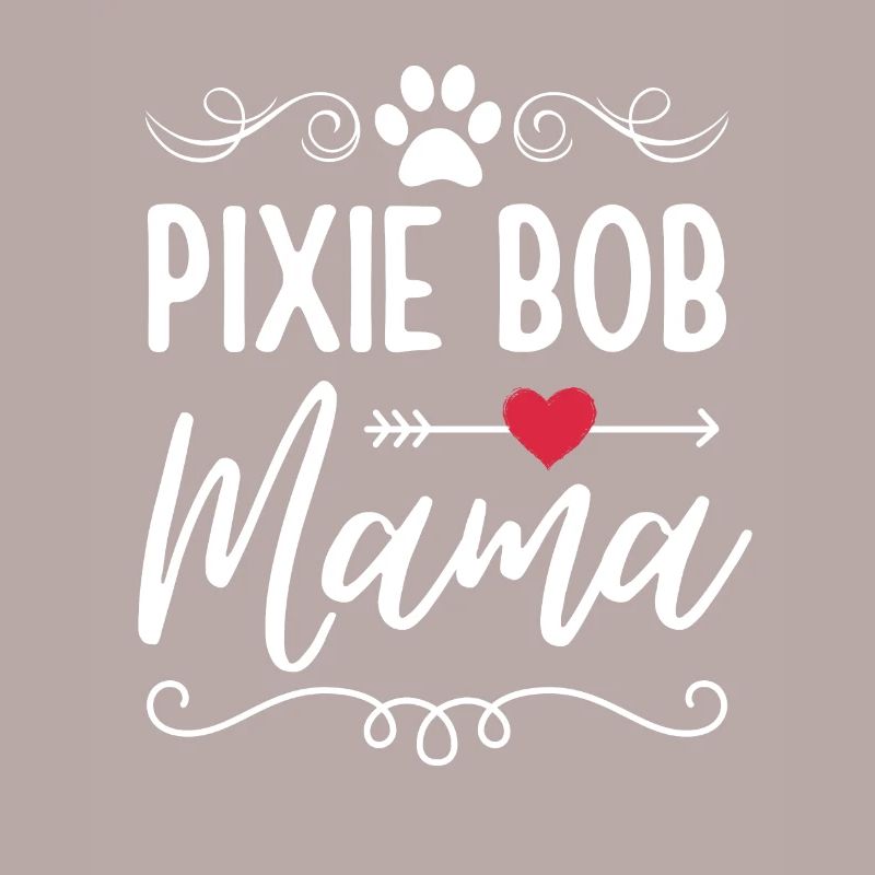 Pixie Bob Chat Maman Pixie Bob Maman