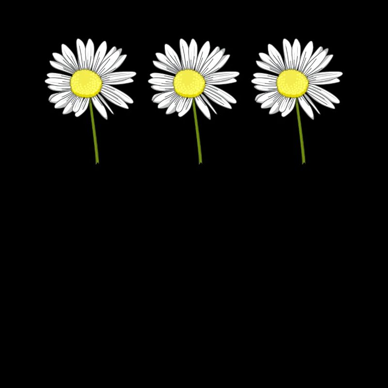 Gänseblümchen Blume Blumig Margeriten Garten