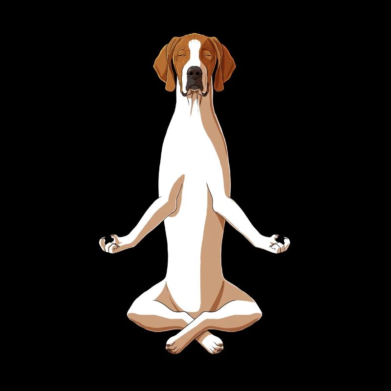 Meditate English Pointer Dog