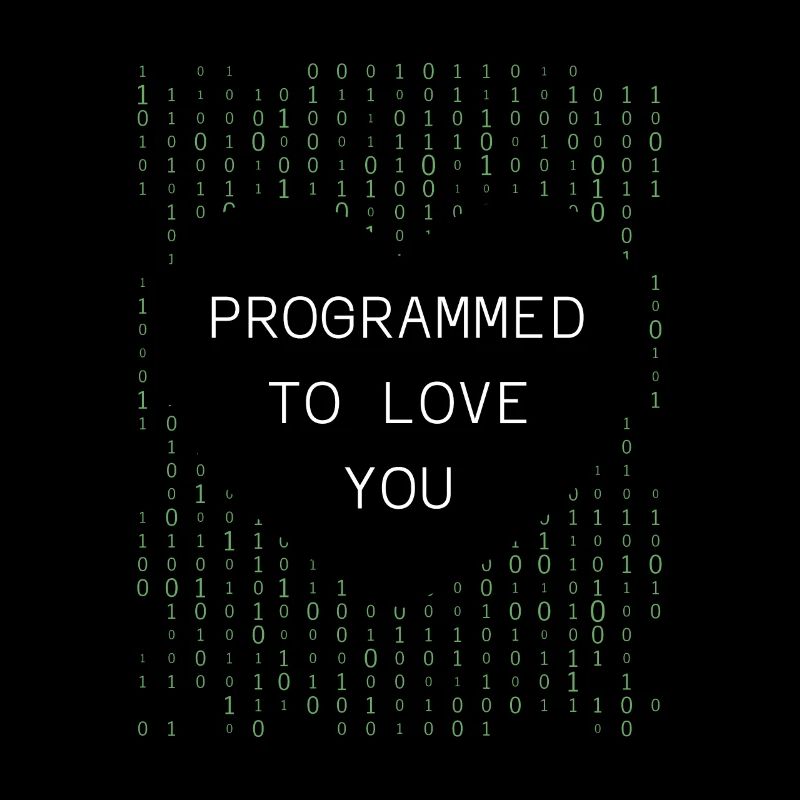 Programmeur Codeur développeur