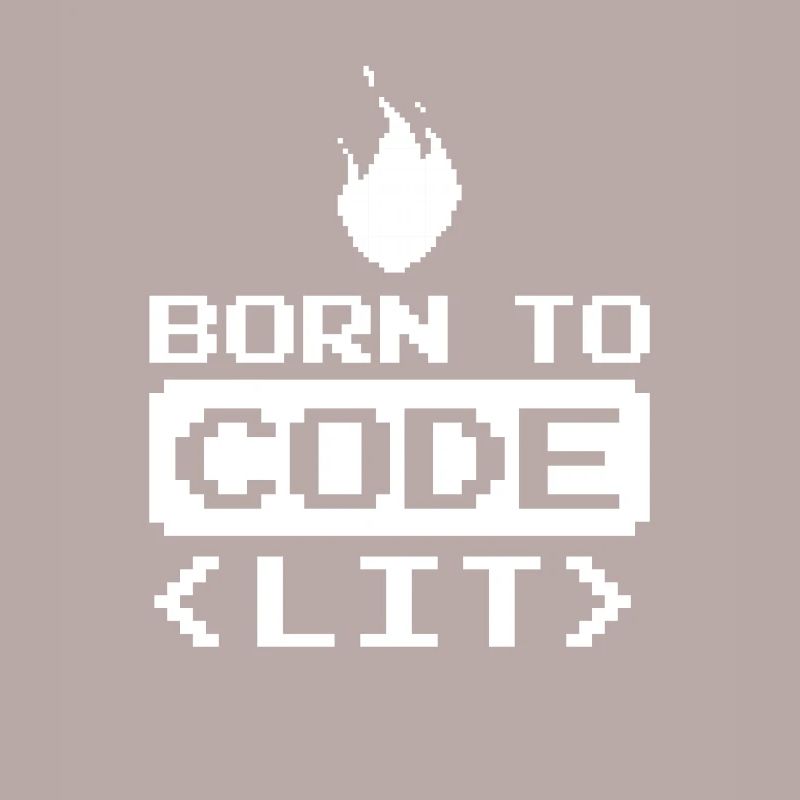 Développeur Coder Programmeur Drôle