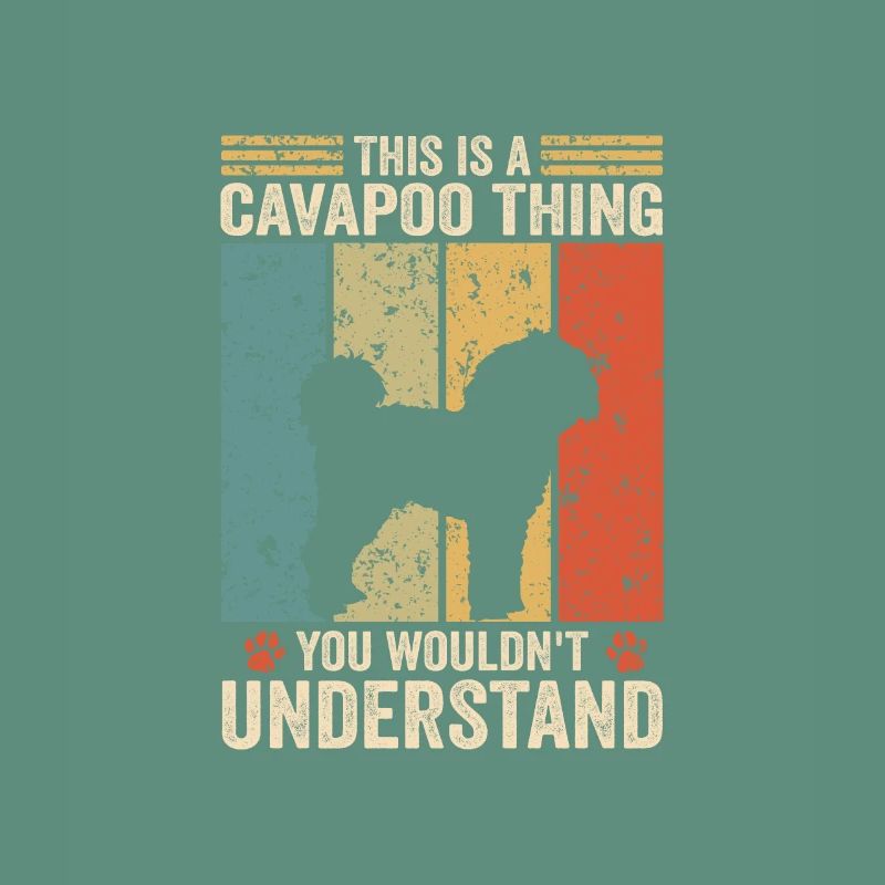 This is a Cavapoo thing