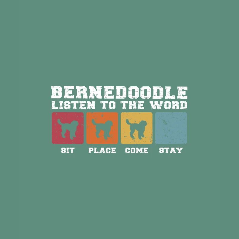Bernedoodle écouter le mot