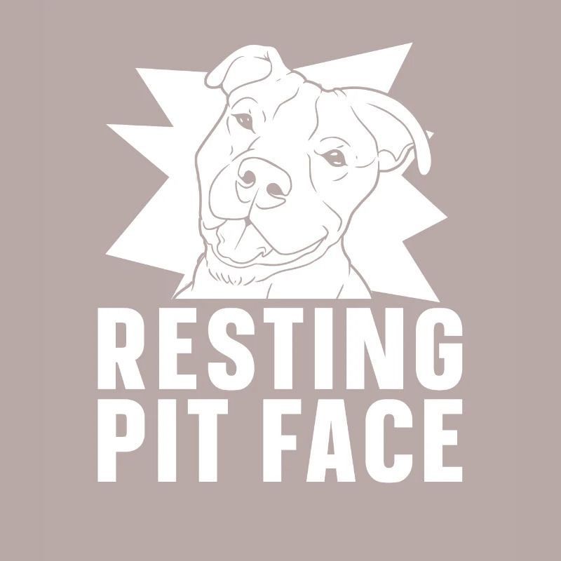 Pitbull Pitbull Interdiction Pitbull Repos Pit Face