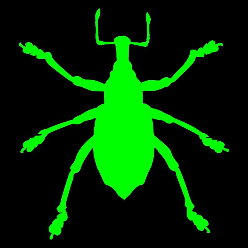 Vecteur sélectionnable de couleur d'insecte Eupholus charançon