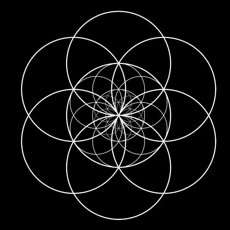 Semence de Vie Transcendantale