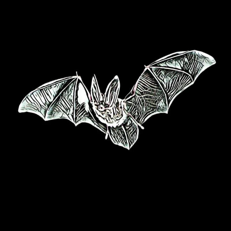Fledermaus