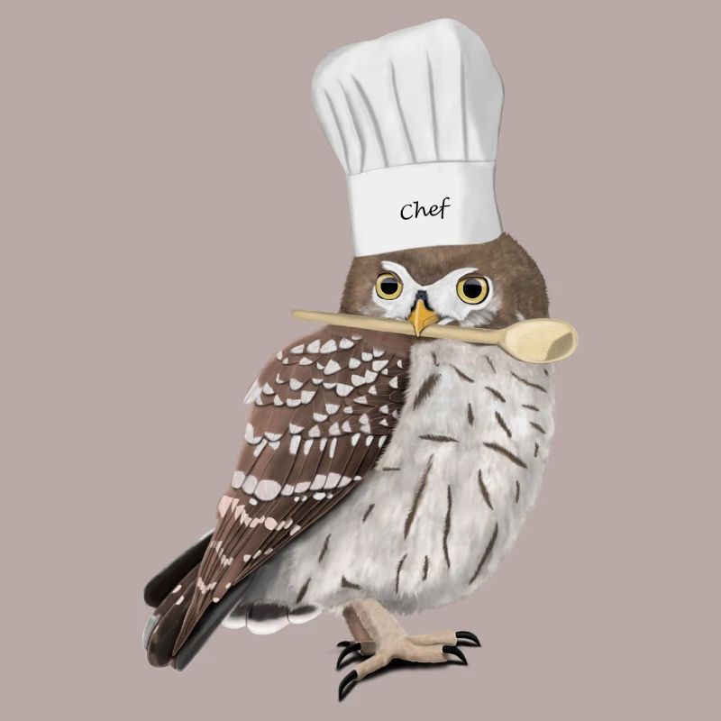 Owl Chef Chef Kitchen Bird Watcher