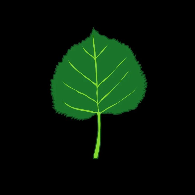 Linde - Baum - Blatt