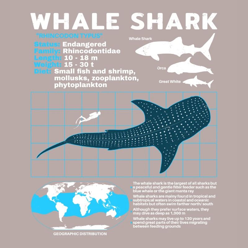 Whale Shark Datasheet