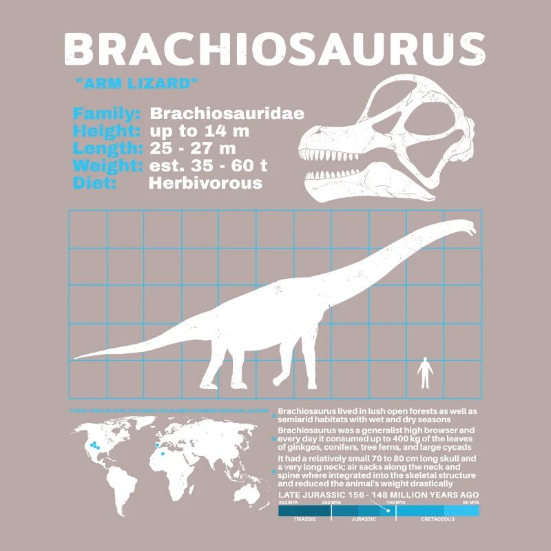 Fiche technique de Brachiosaurus