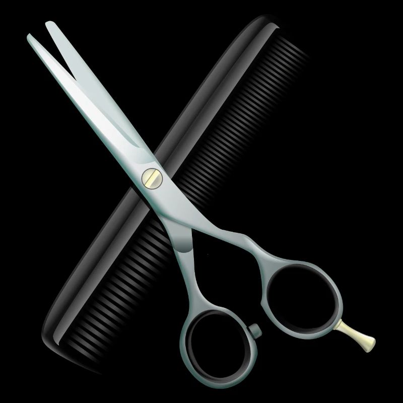 Ciseaux de coiffure avec peigne
