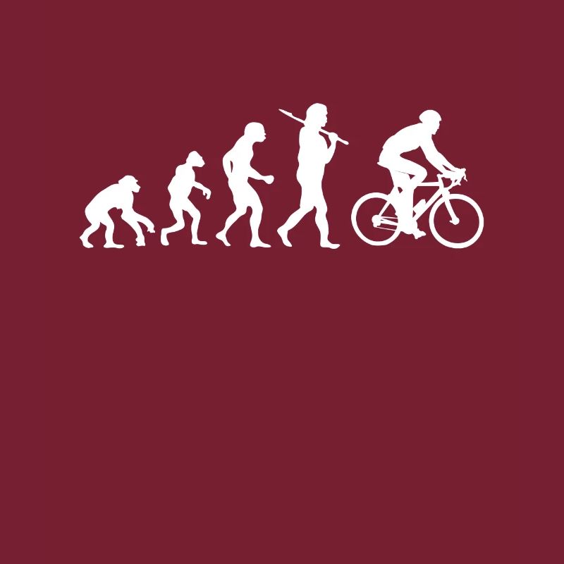 Evolution Vélo
