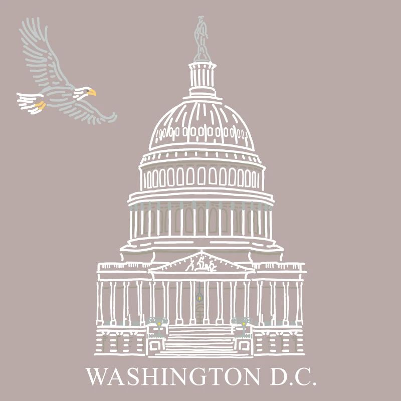 Washington D.C., Capitol Structure, Bald Eagle