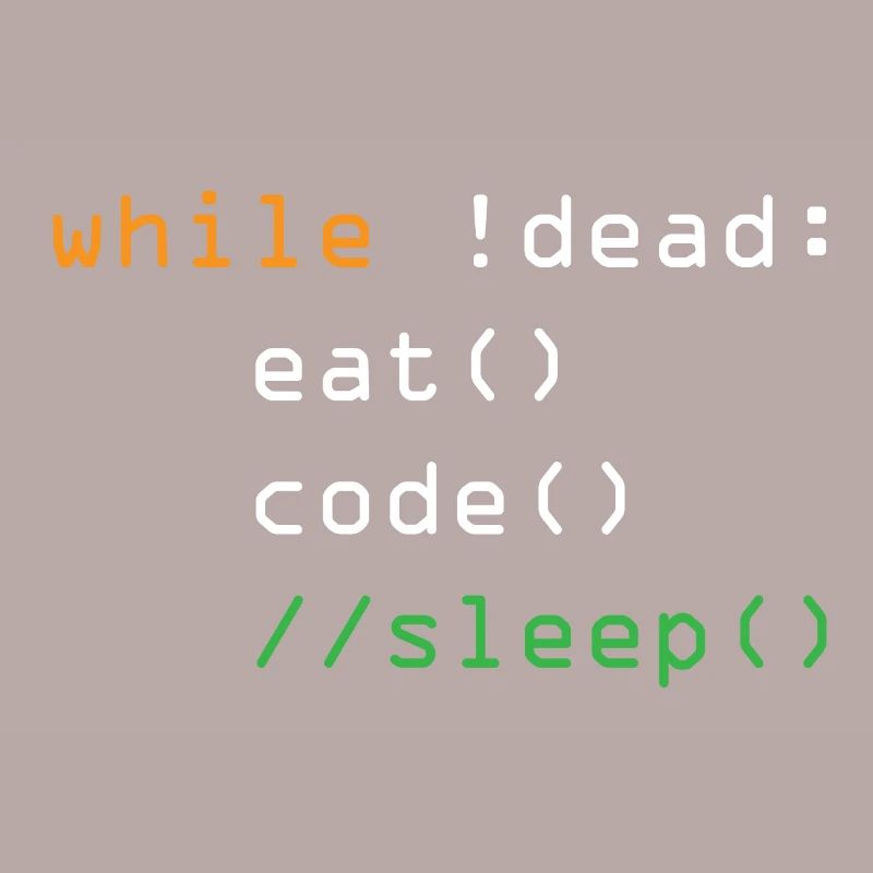 maenner shirt computer python programmer eat