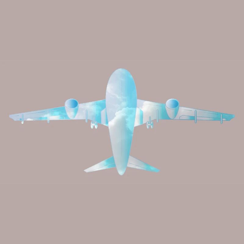 Passenger plane with cloud pattern