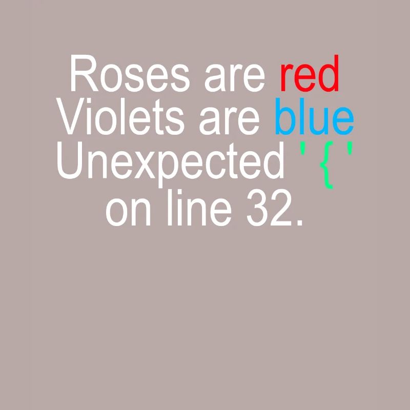 Programmer Computer Scientist Programming