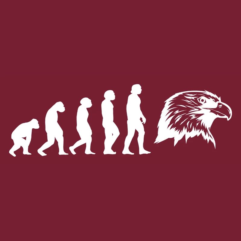 Evolution Falkner