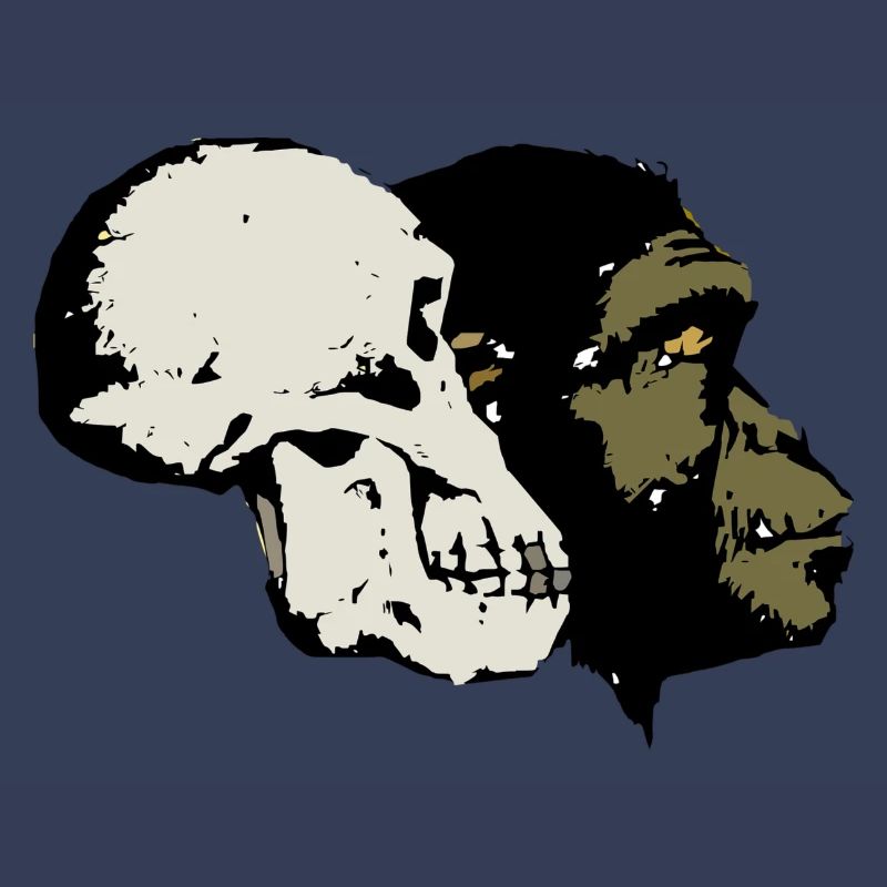 Evolution
