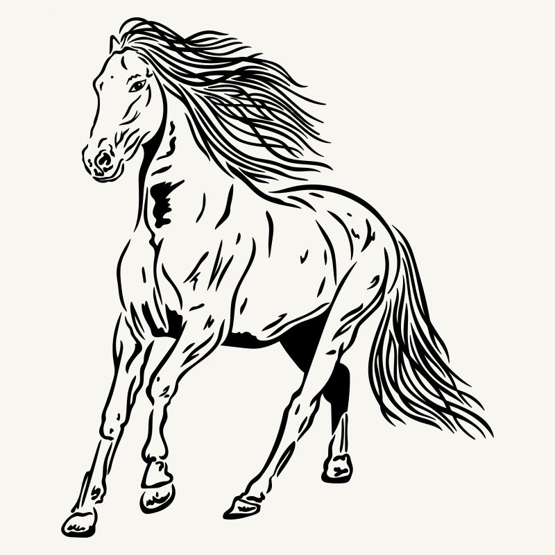 Pferd Hengst