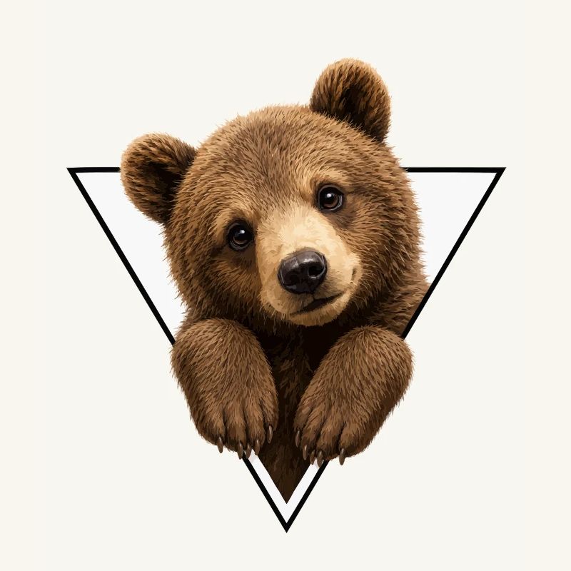 Bear cub in triangle