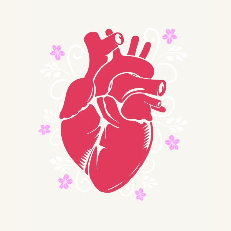 Cardiogramme, cardiographie, échographie, échographie