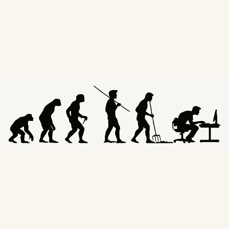 Programmeur Évolution Informaticien Développeur