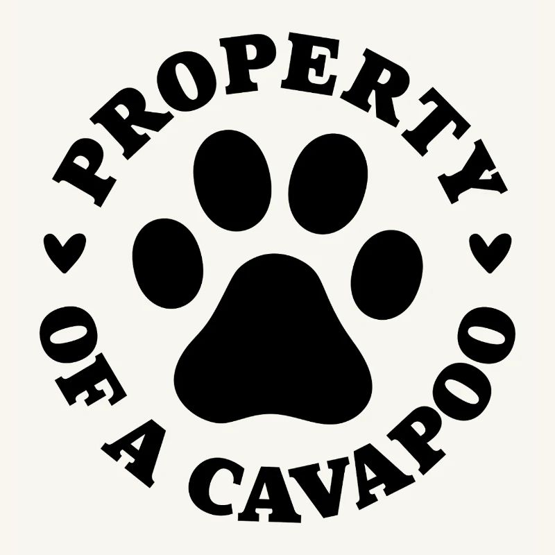 Eigentum eines Cavapoo