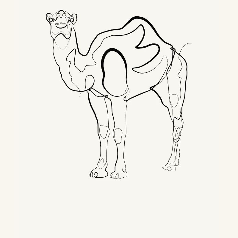 Kamel Dromedar - one line drawing