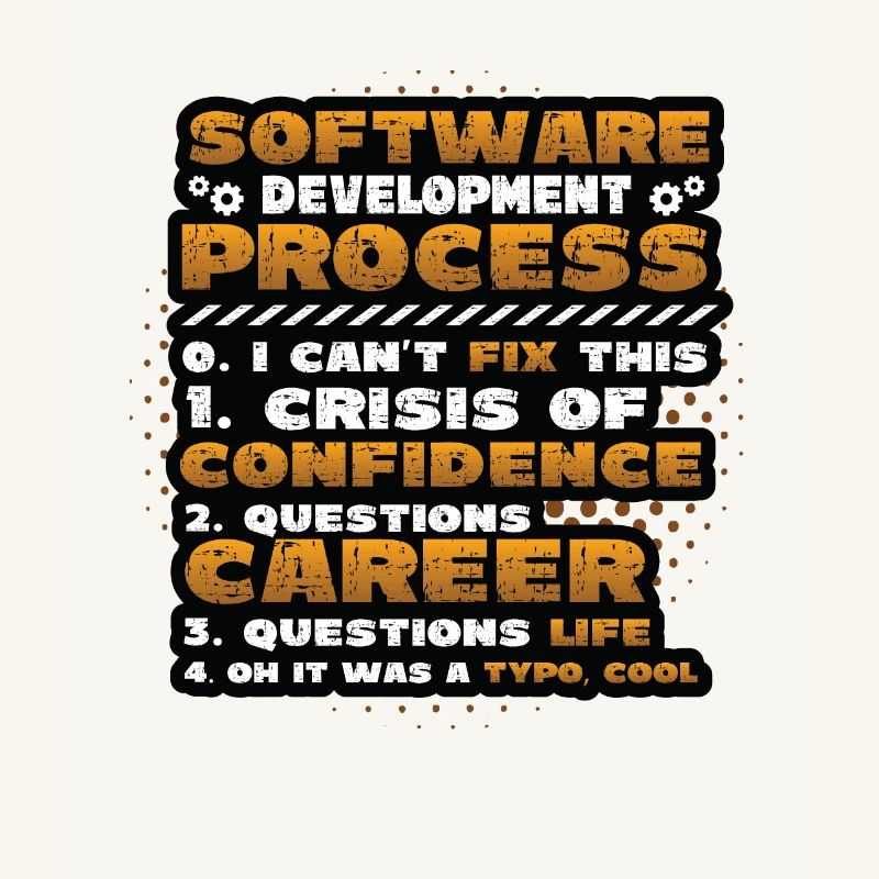 Software Development Process, Programming