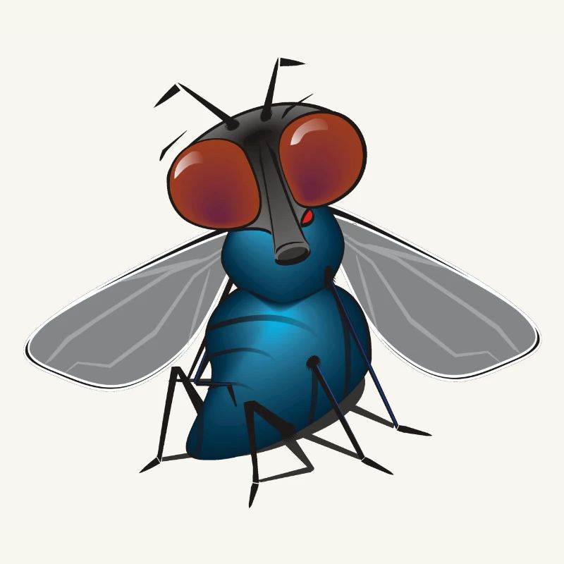 fliege
