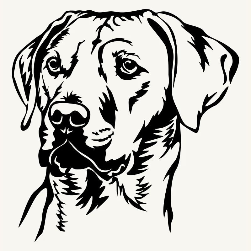 Rhodesian Ridgeback head