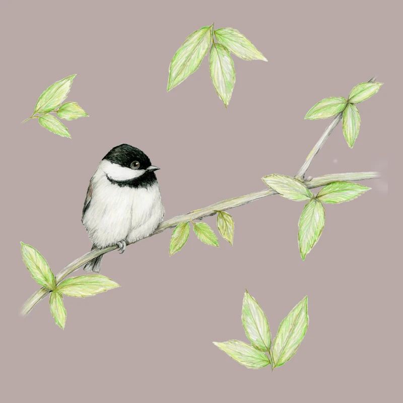 Eine Bleistiftzeichnung eines Mattenkopfes oder Glosskopfes