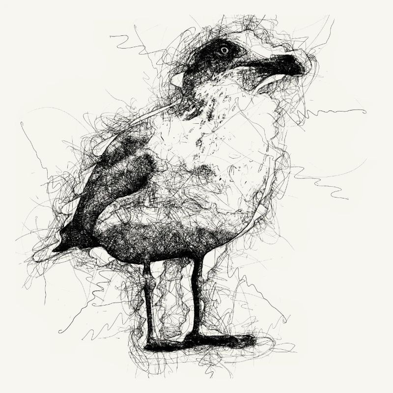 Möwe